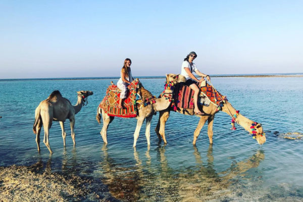 CAMEL RIDING MARSA ALAM DAY TOUR